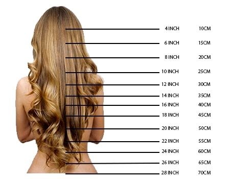 lengtebodywave